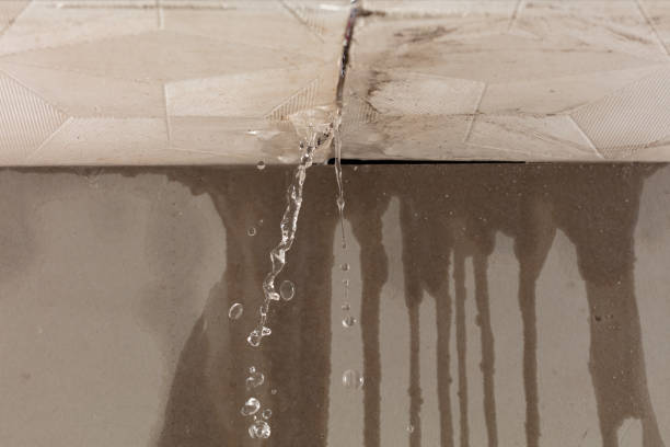 Professional Water Damage Repair technician working in Campbell, TX